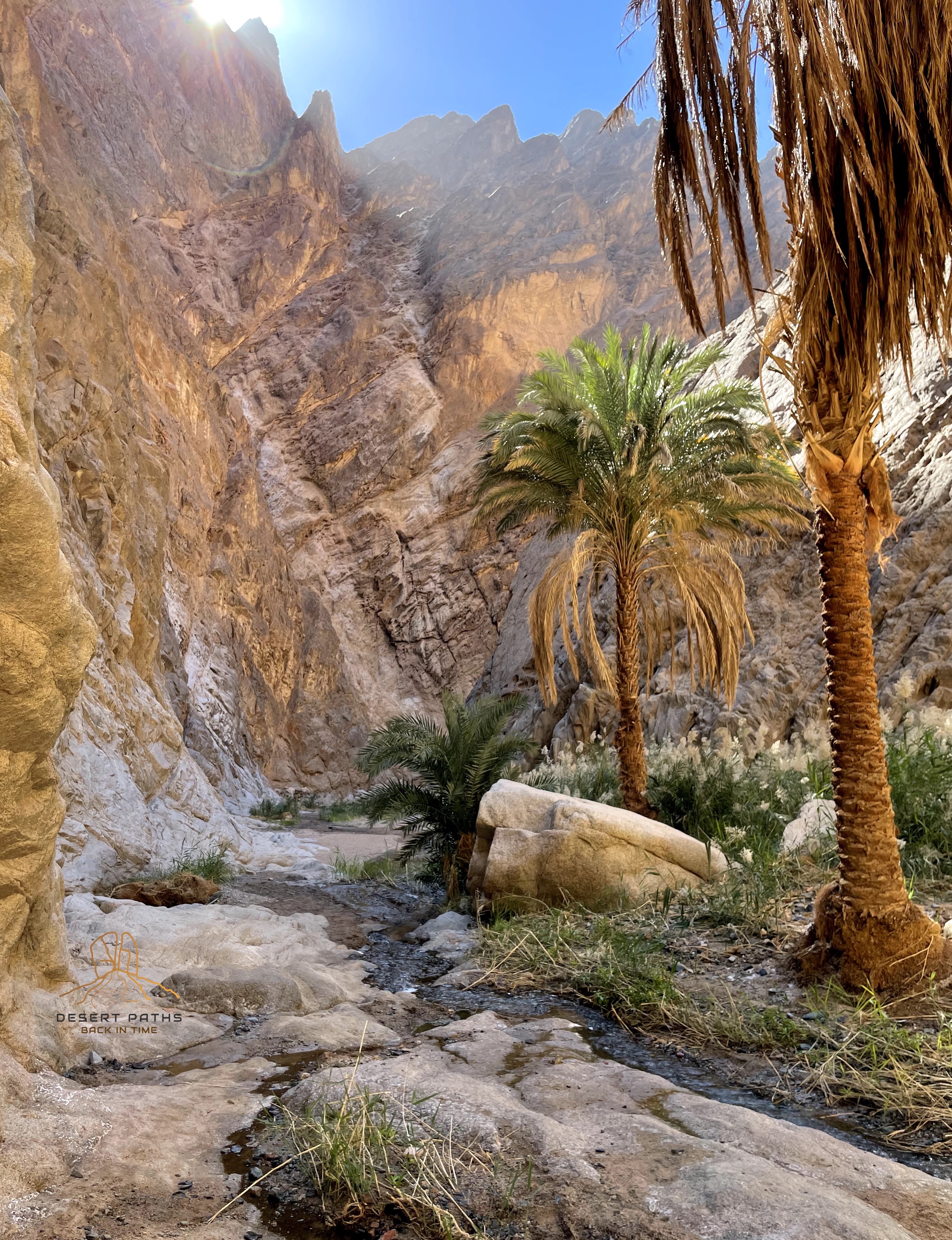 NEOM - Wadi Tayyb Ism